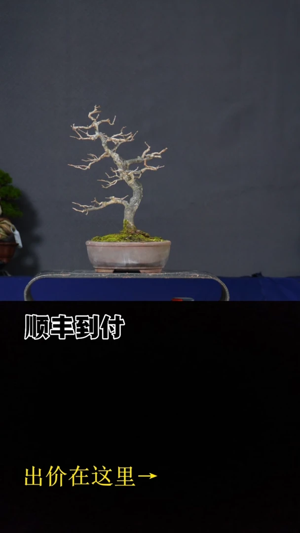 无花朵湖****源a292老鸦bubaoyou