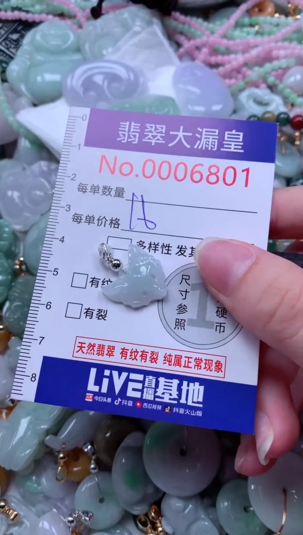 翡翠未镶嵌吊坠(不含链)6801