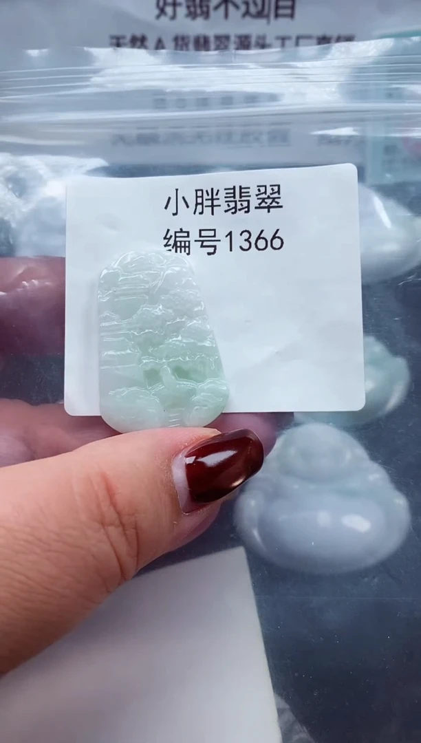 颈饰未镶嵌翡翠缅甸天然A货翡翠1366