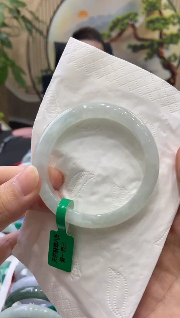 未镶嵌手镯翡翠5013