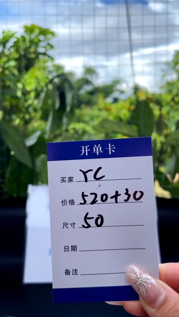 非金属无Y*C手镯下单链接一单一付