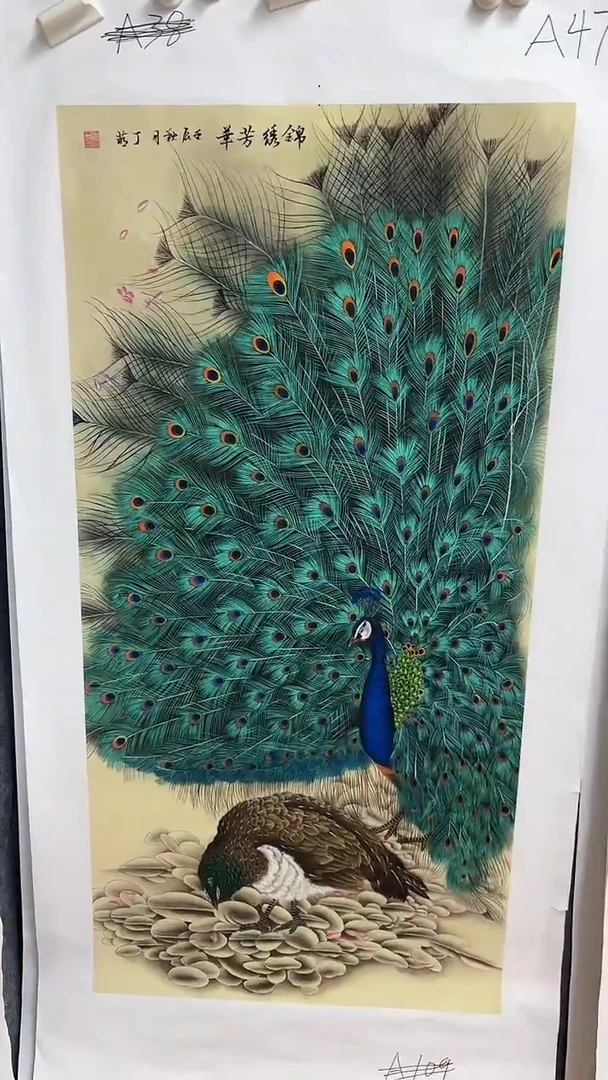 A47画画画画画画画画