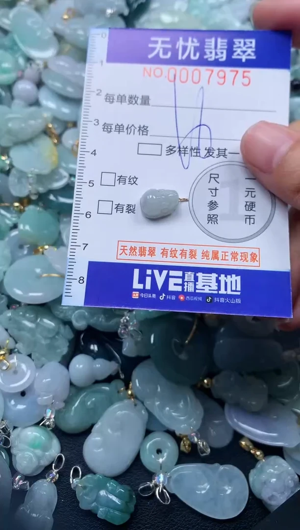 颈饰未镶嵌翡翠7975