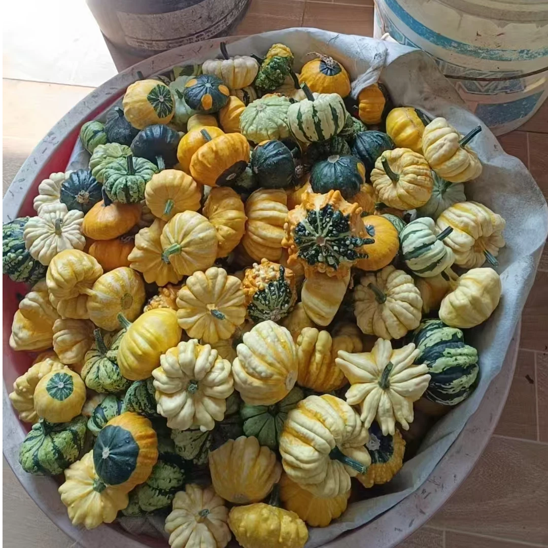 墨西哥七彩葫芦创意装饰品手工雕刻艺术摆件