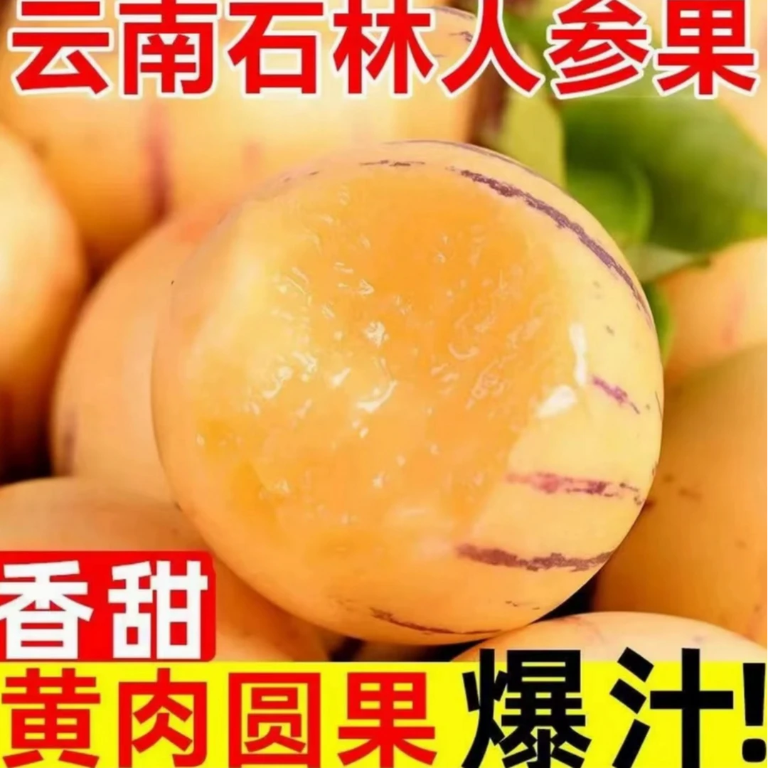 云南石林人参果应季果黄肉圆果新鲜树上熟清甜多汁水果DD