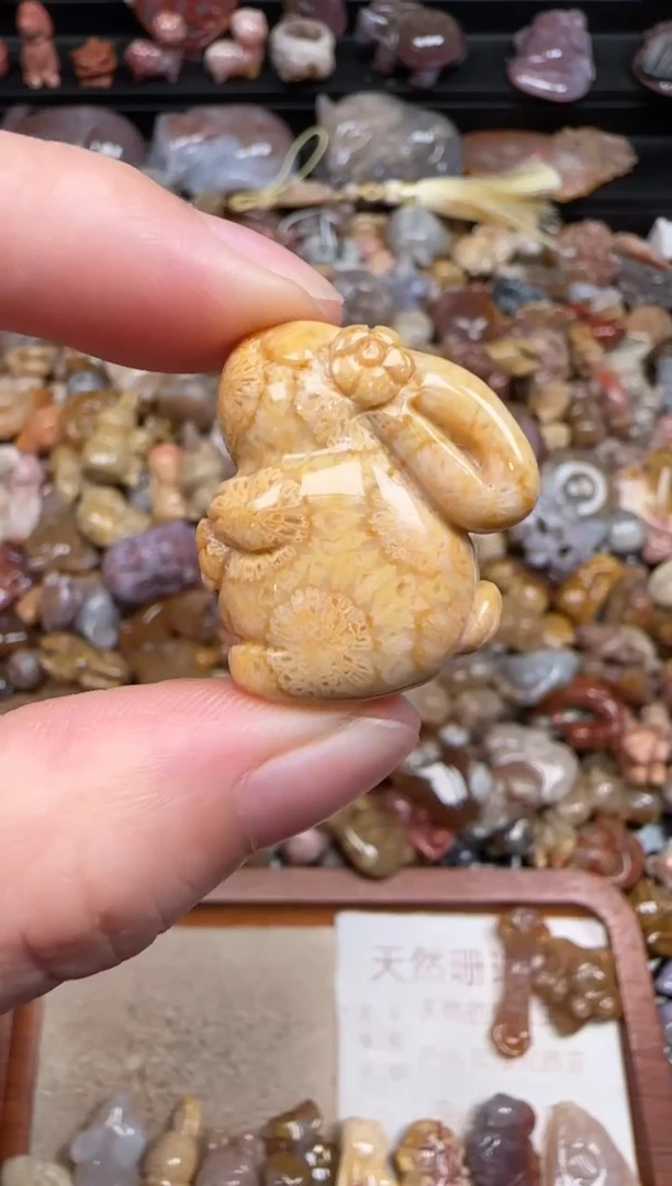 硅化珊瑚（珊瑚玉）未镶嵌颈饰792