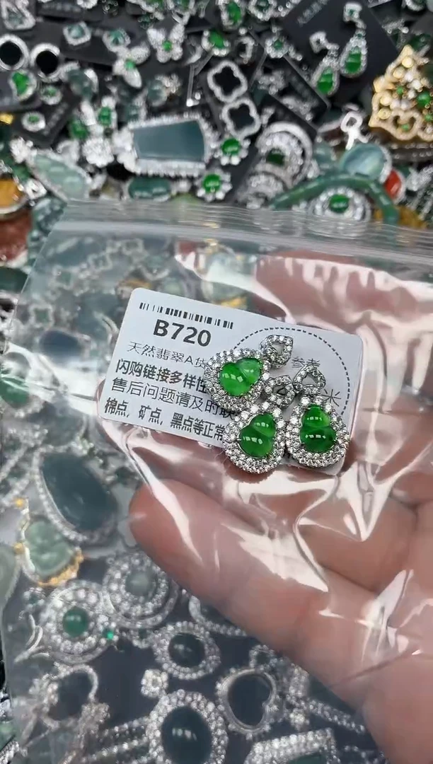 翡翠未镶嵌颈饰B720多样性发其一