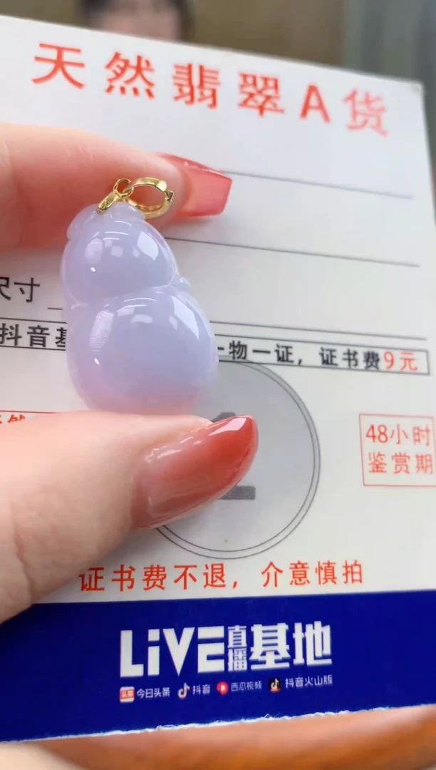 颈饰未镶嵌翡翠天然A货翡翠挂件