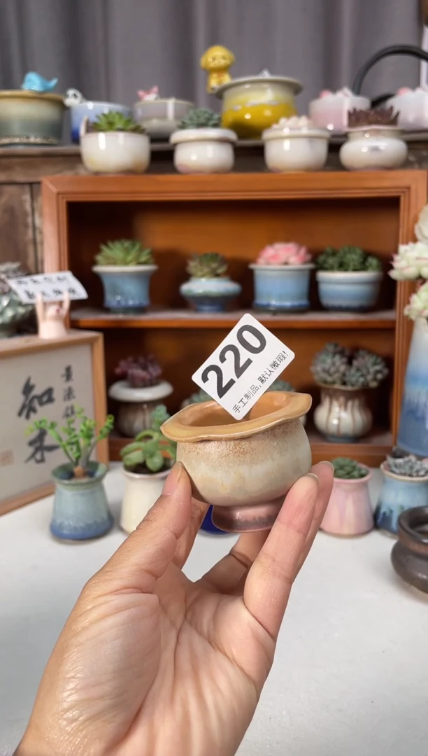 瓷片220小芳直播编号