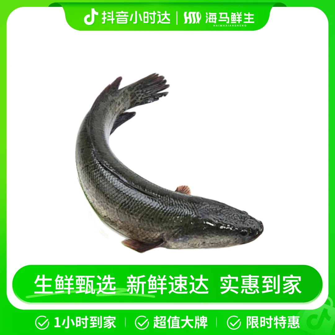 鲜活黑鱼1只（3斤左右）【默认切片】