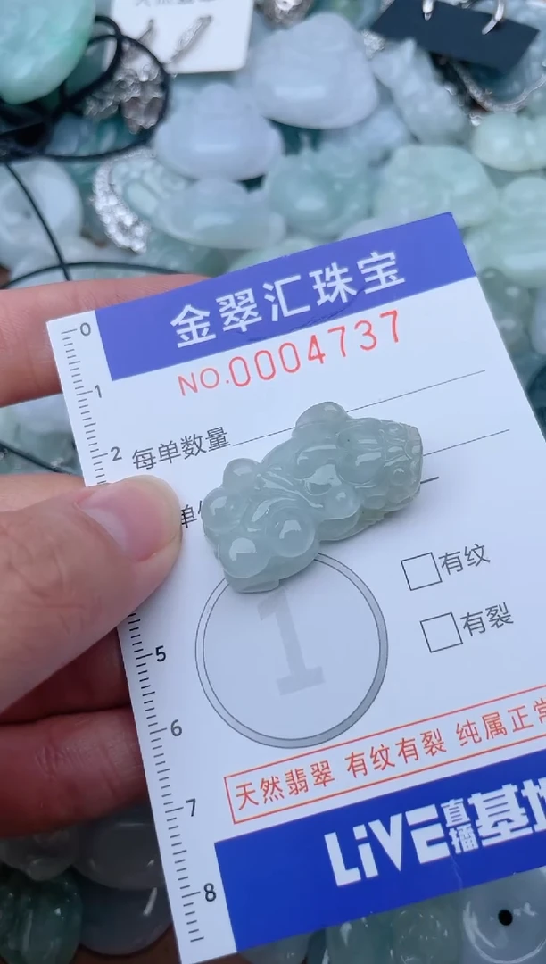 翡翠未镶嵌颈饰4737