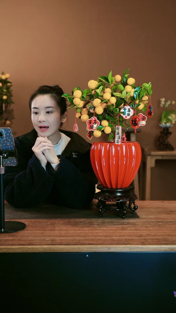 【闪购商品】盆景小金橘 红