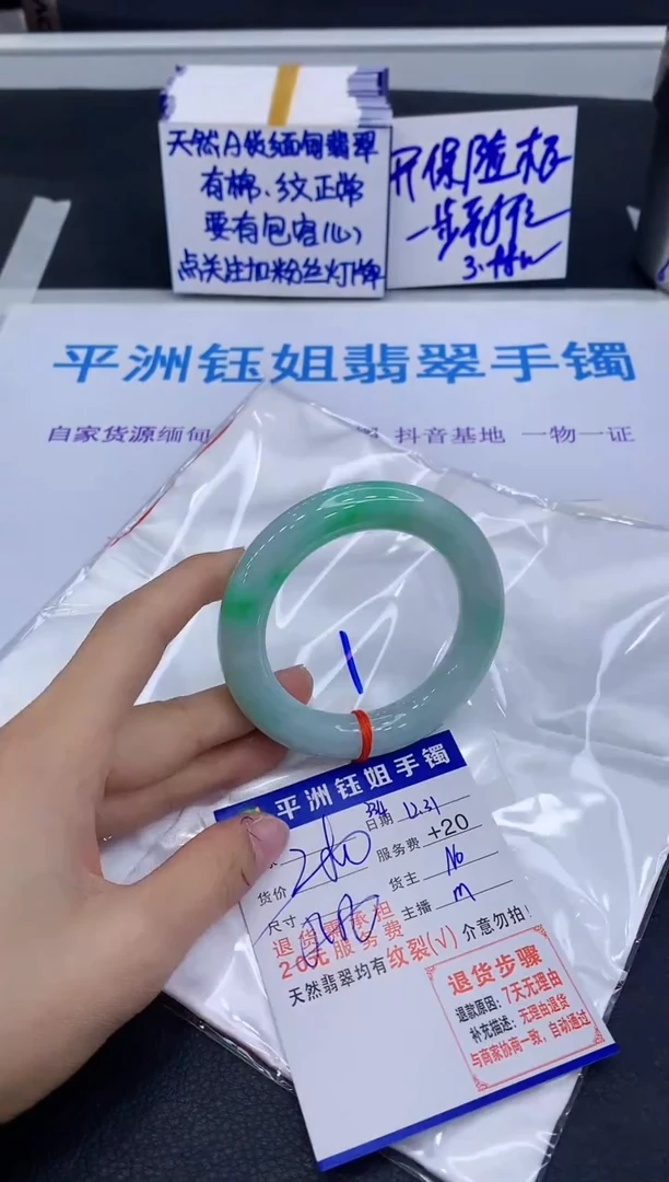 未镶嵌手镯翡翠11111