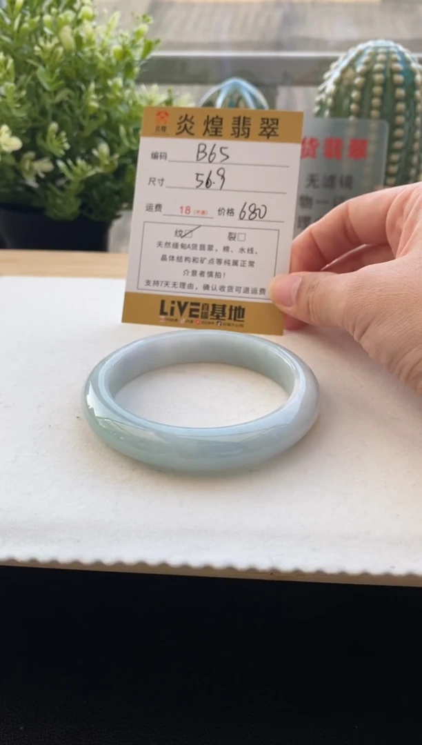 未镶嵌手镯翡翠56.9圈口 编码B65