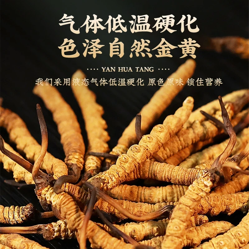 头期虫草正品冬虫夏草 过节送礼虫草滋补品干货泡酒送礼
