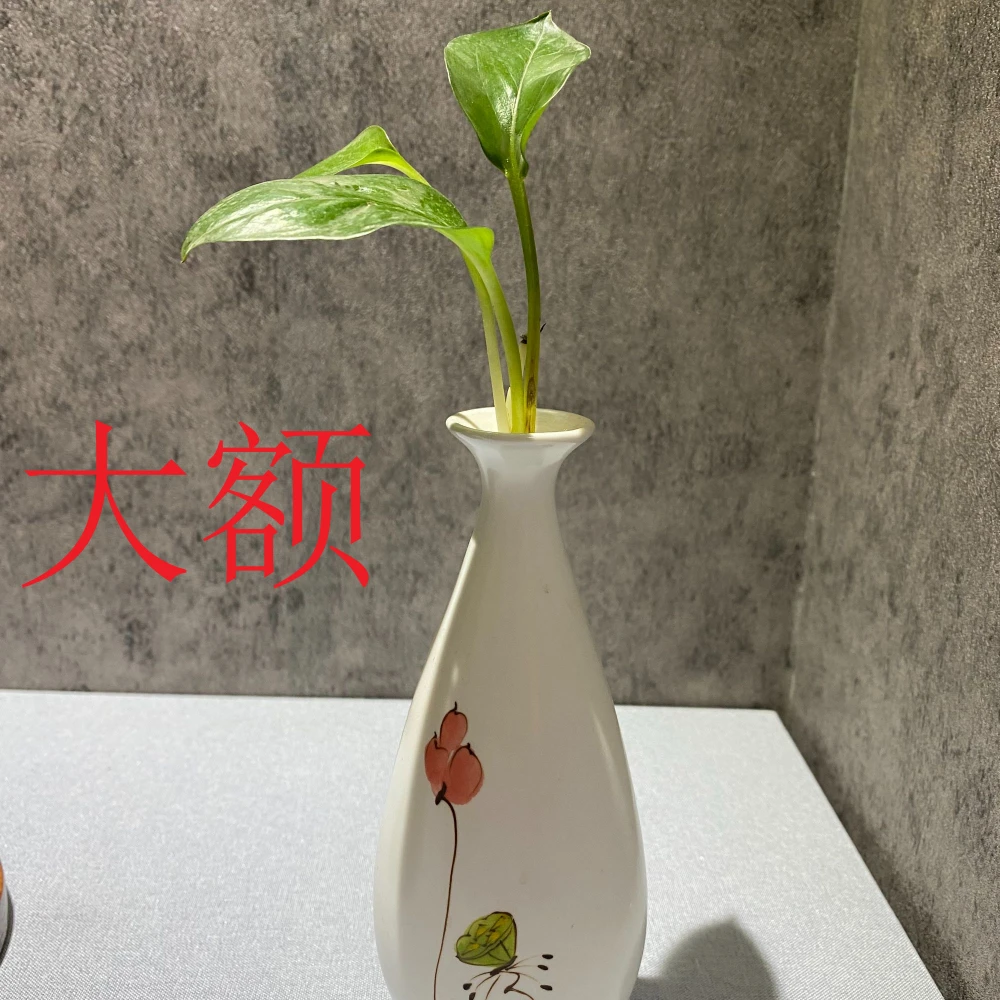 大额 阿拉善戈壁石 戈壁石摆件 直播付款专用 桌面摆件