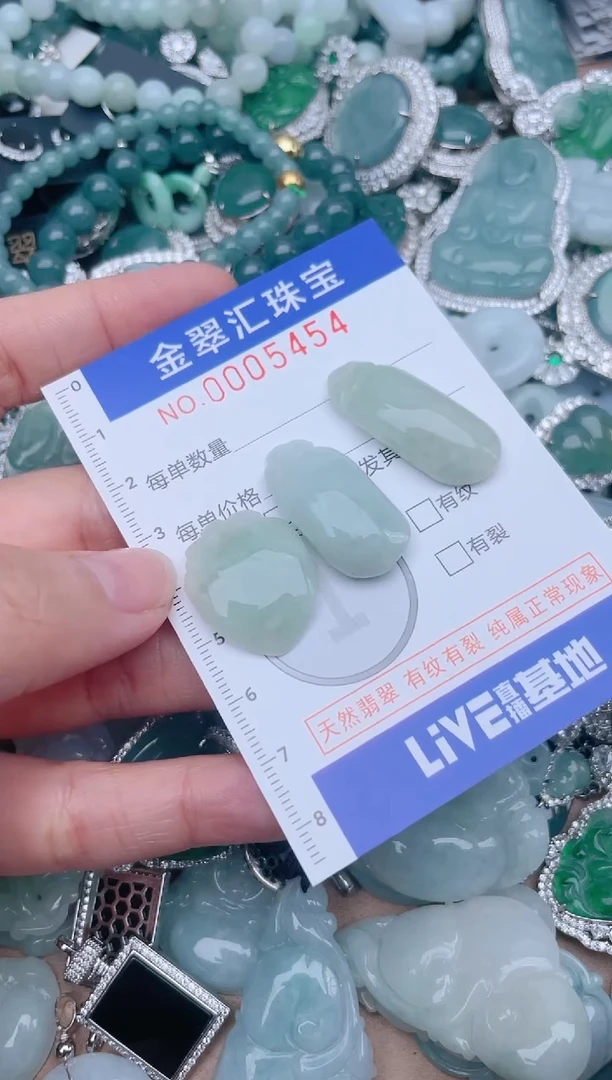 翡翠未镶嵌颈饰5454.........1