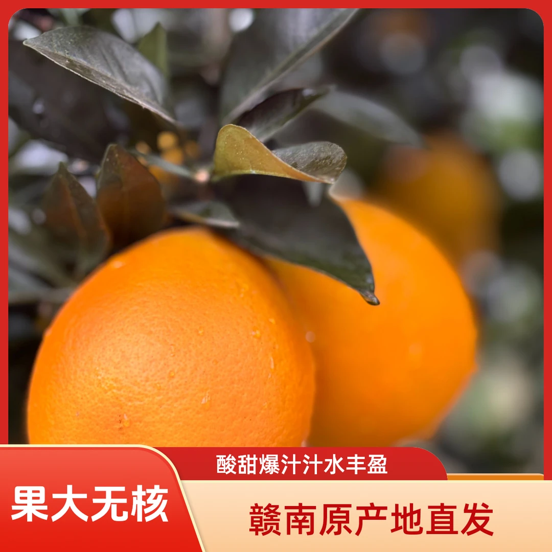 富硒 赣南脐橙 现摘现发 酸甜爆汁 孕妇儿童水果 赣南原产地直发
