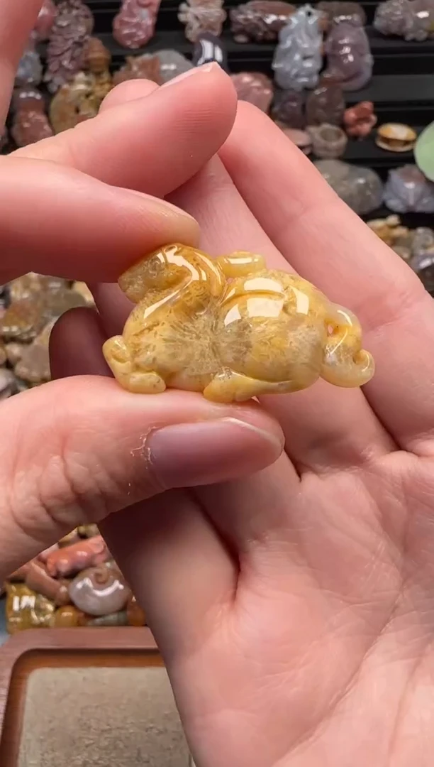 颈饰未镶嵌硅化珊瑚（珊瑚玉）611
