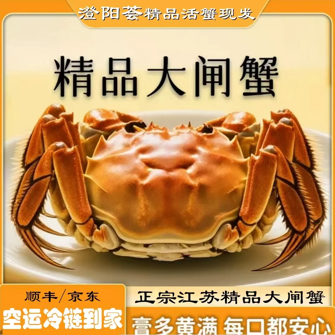 【活蟹】精品大闸蟹 母蟹 3.7-3.4两/只 公蟹3.7-3.4两/只 8只