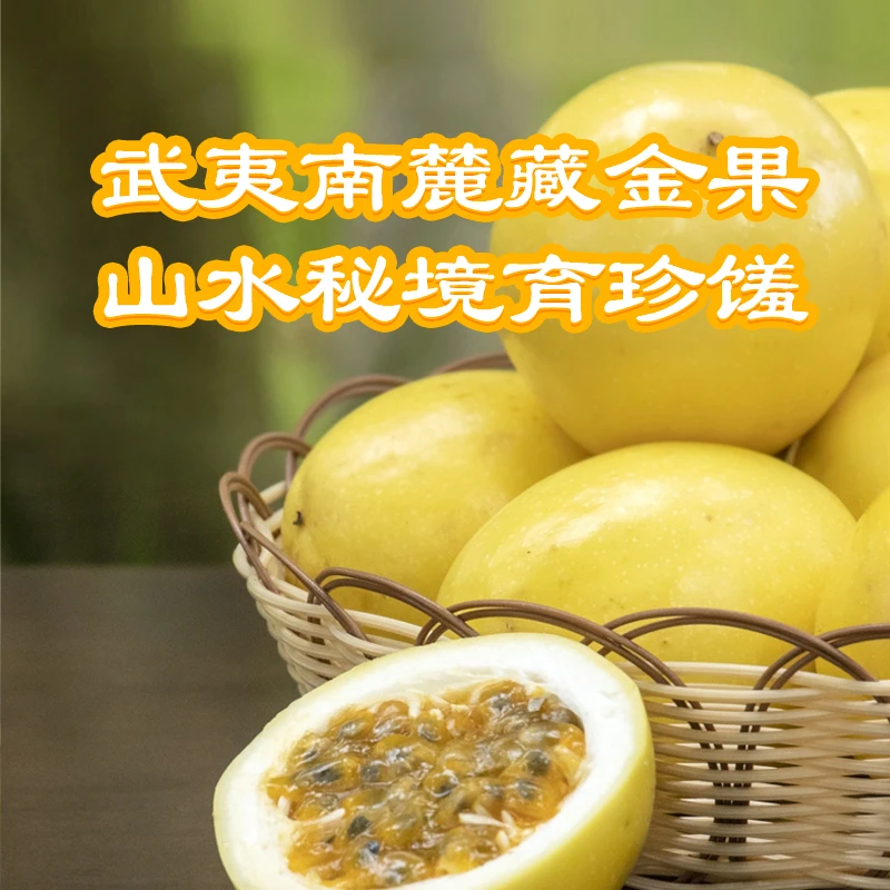 福品福递龙岩武平新鲜现摘钦蜜9号百香果当季水果园地直发风扇中