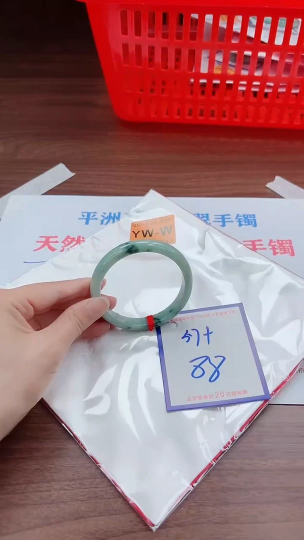未镶嵌手镯翡翠11111111