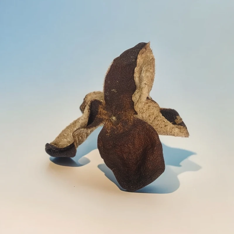 ⑫ 2018天马木香蜜香老皮新会陈皮