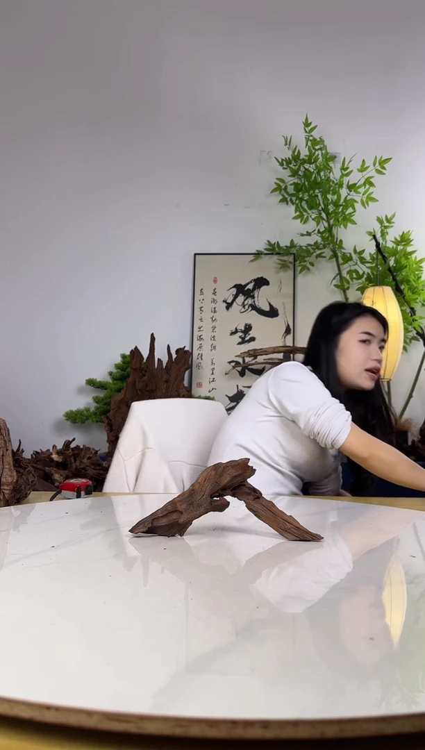 潘*森拍沉木定向链接编号35