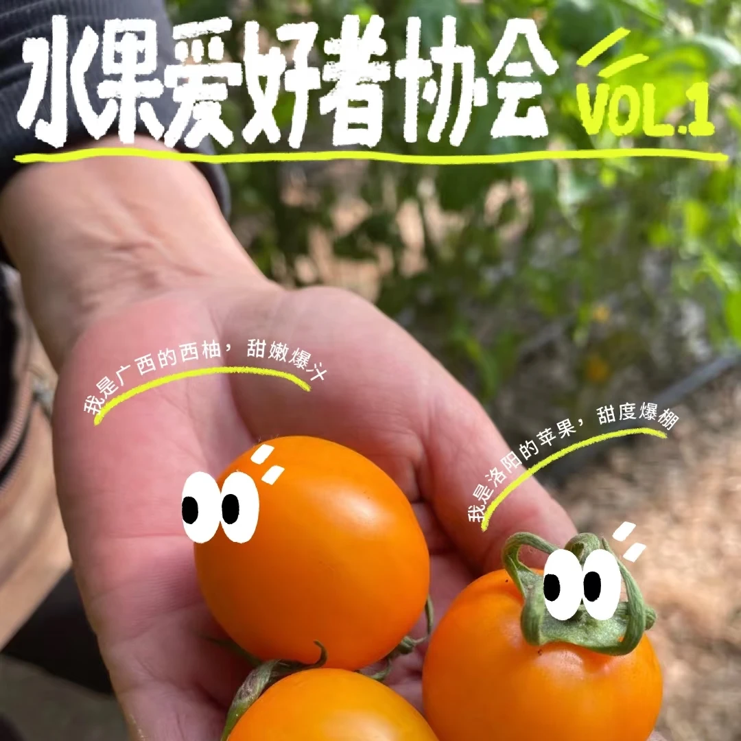 黄天霸小柿子一斤装500g