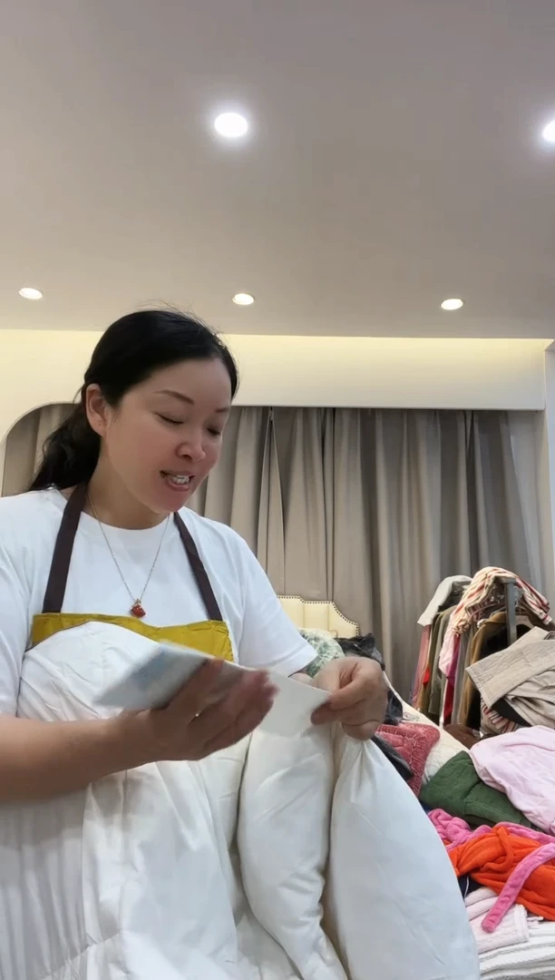 棉棉D35 鹅毛被  220*240