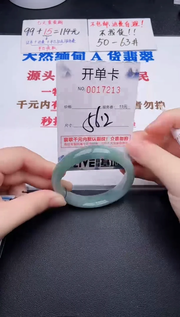 未镶嵌手镯翡翠13