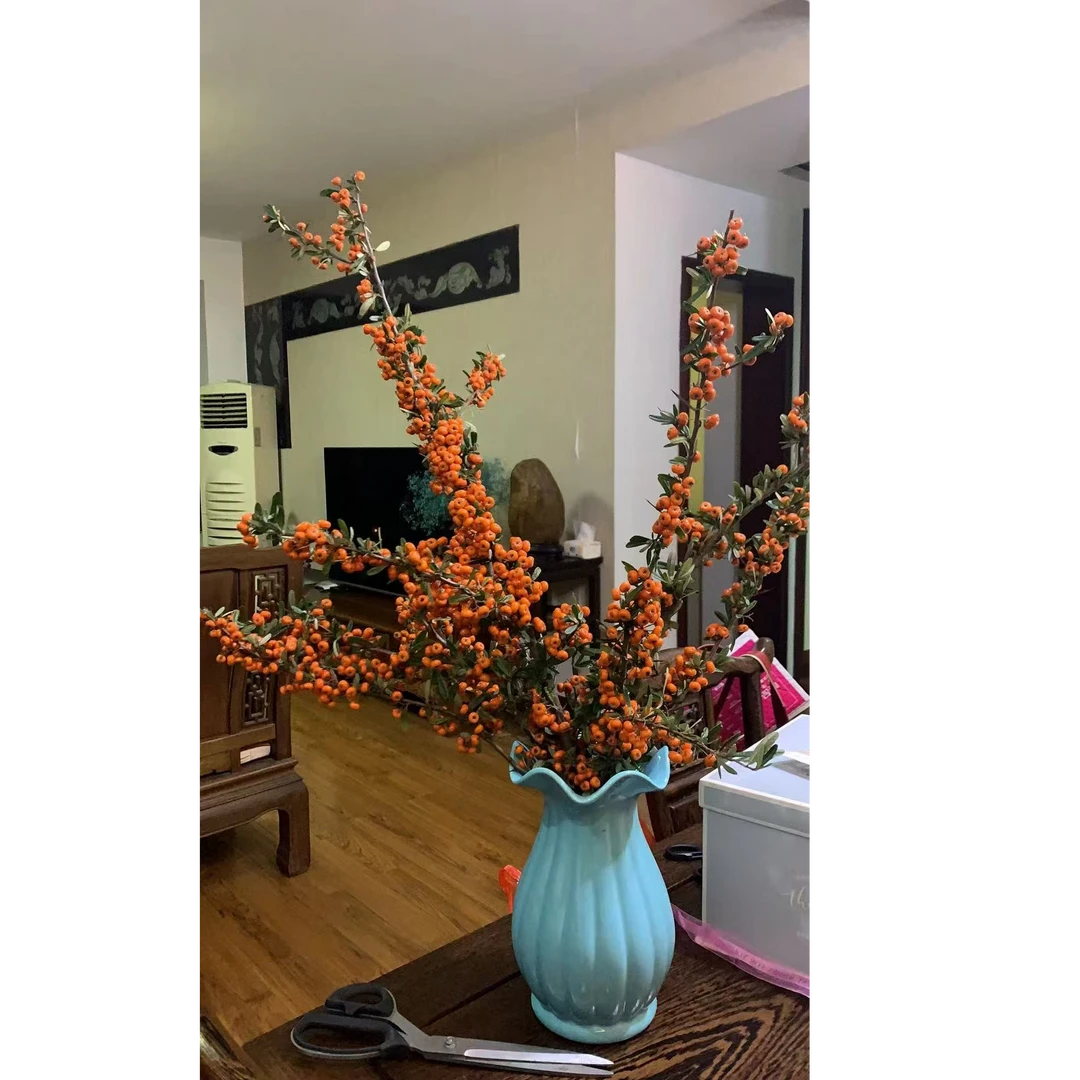 沙棘果鲜花（国产小冬青）