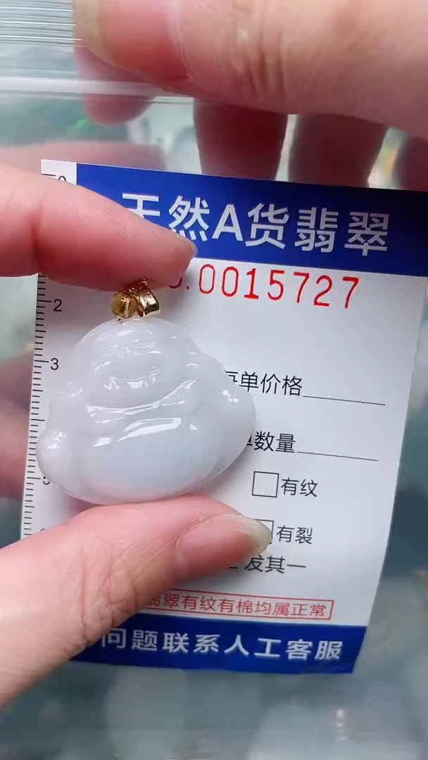 翡翠未镶嵌吊坠(赠链)1