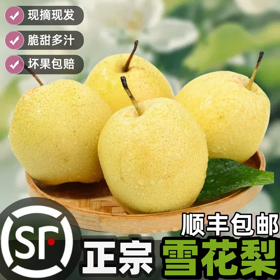 【顺丰】正宗河北赵州雪梨脆甜产地直发当季新鲜水果雪梨整箱批发
