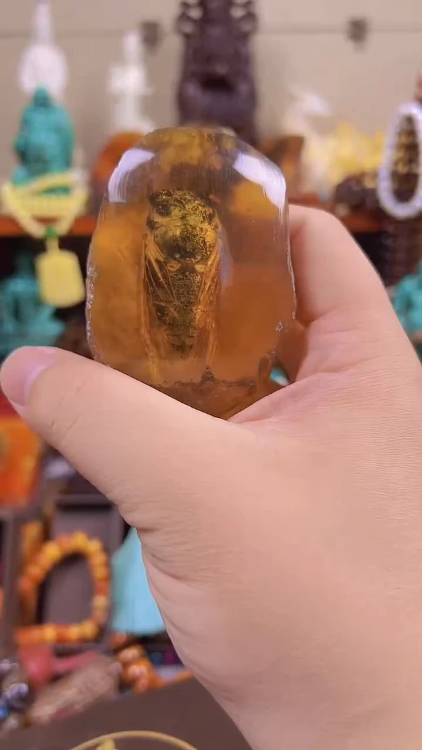 未镶嵌琥珀裸石主播推荐！主播推荐！