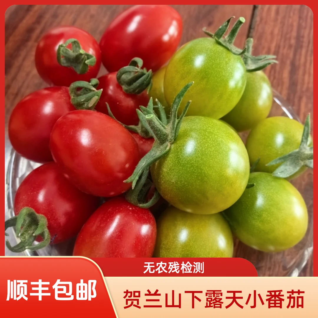 【顺丰包邮】农家自种青甜2号小番茄生态种植玲珑果养生孕妇水果