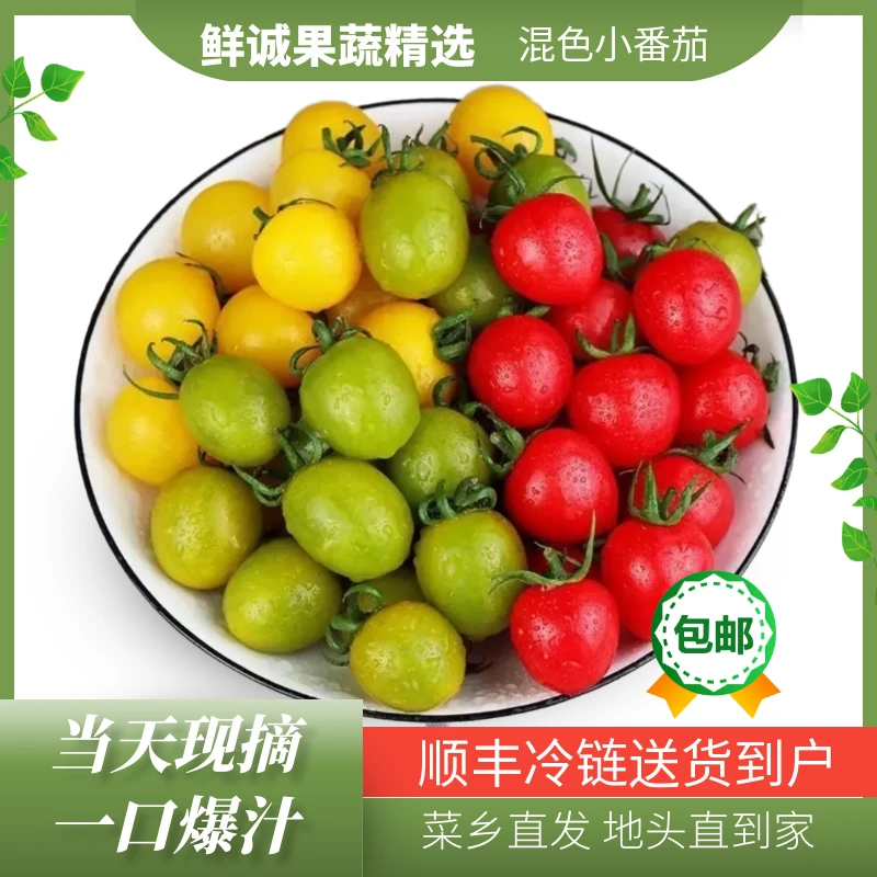 【顺丰包邮】山东现摘混色小番茄组合樱桃/青甜2号香甜爆汁圣女果