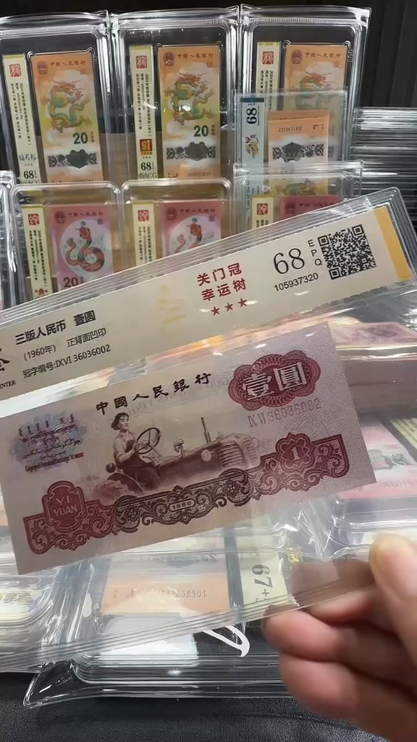 塑料幸运树36036002
