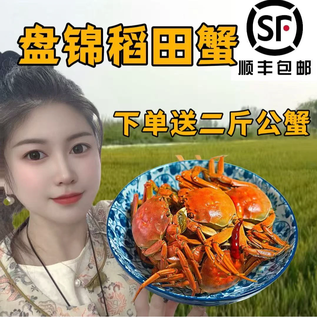 盘锦河蟹【活蟹】1.7-2.0两全母3斤（18只左右）在送2斤1-1.5两公，
