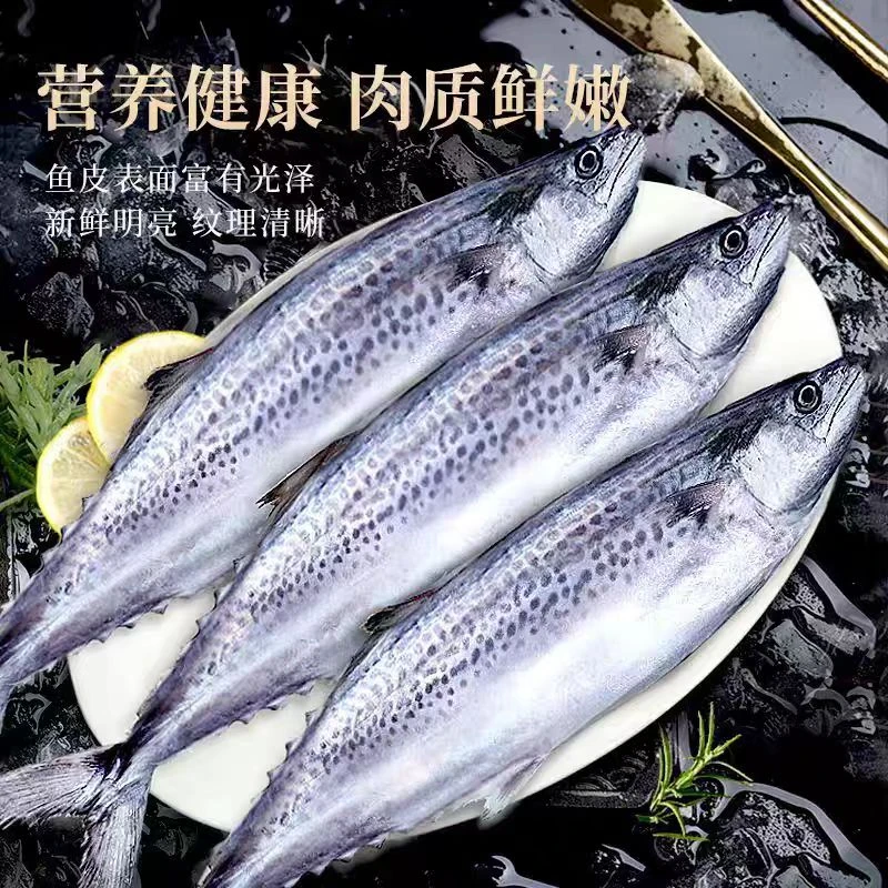 【贺校长专属】5斤深海捕捞 野生燕鲅鱼 大连渤海湾鲅鱼包邮