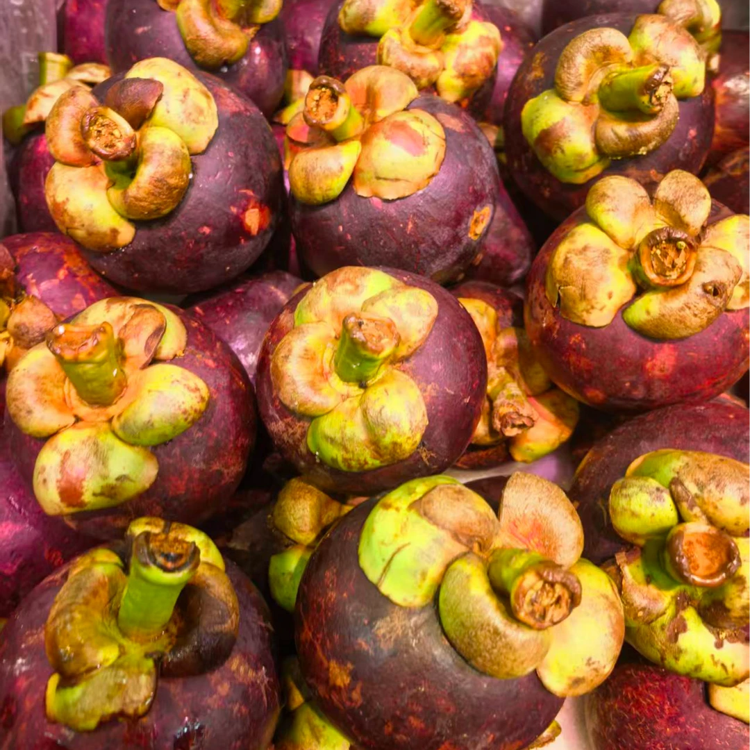 5A山竹 1斤左右（水果）