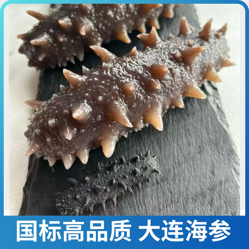 【国标海参】辽刺参30-50头左右/斤大连头茬秋参底播纯日晒干参