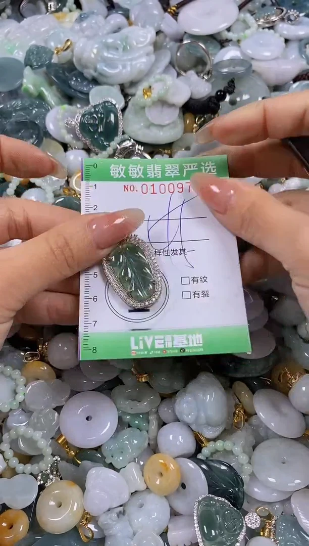 【闪购商品】翡翠颈饰未镶嵌闪购0100970