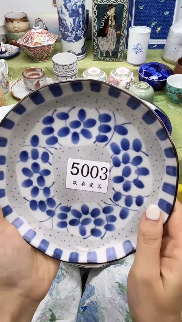 瓷片一****丝           5003