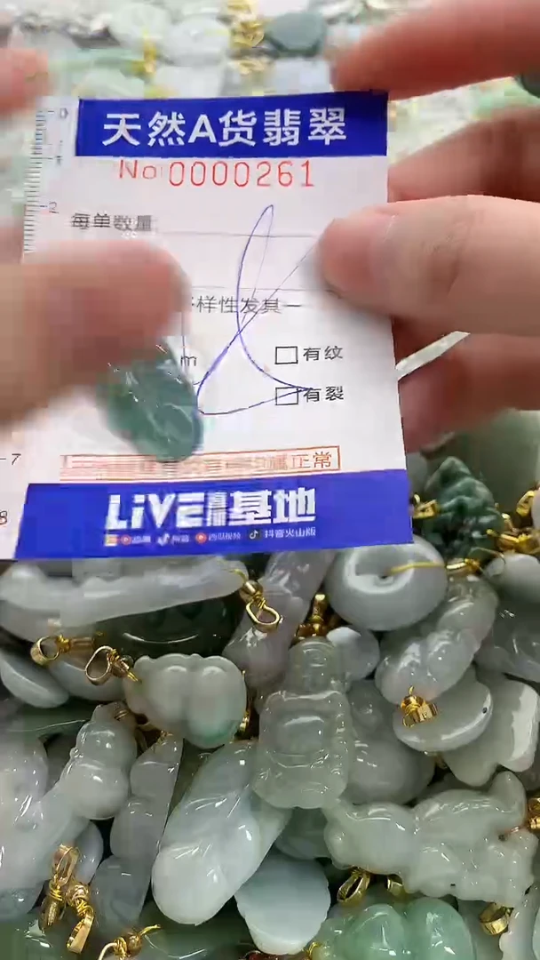 颈饰未镶嵌翡翠纯天然a货翡翠