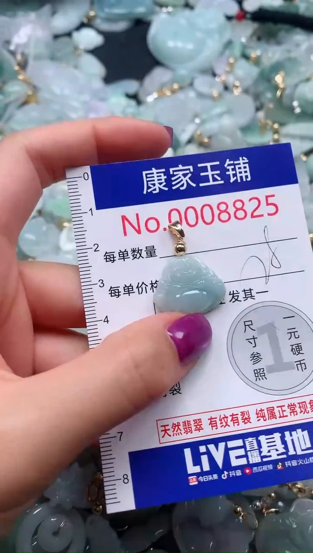 颈饰未镶嵌翡翠8825