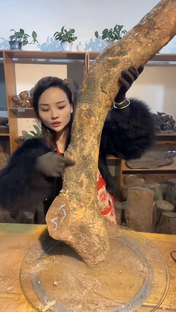 阿祥金丝楠木闪购链接