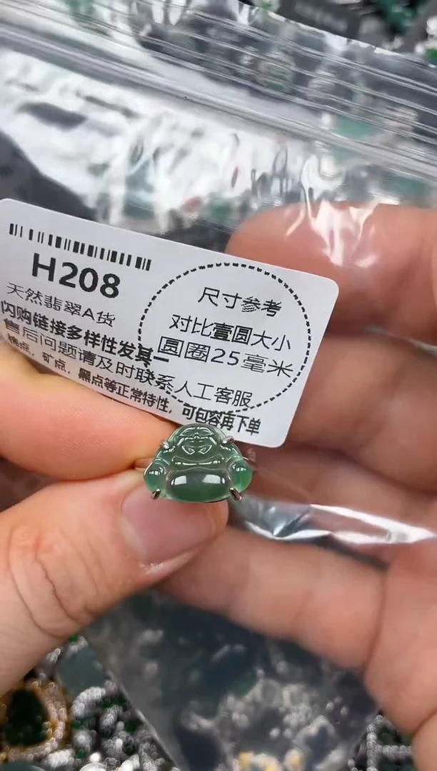 颈饰未镶嵌翡翠H208戒指