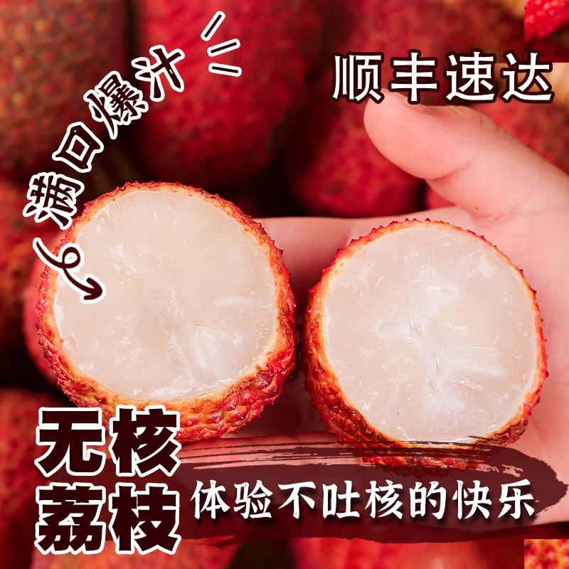 【顺丰冷链直达】现摘现发广东高州老树无核荔枝现摘现发应季水果