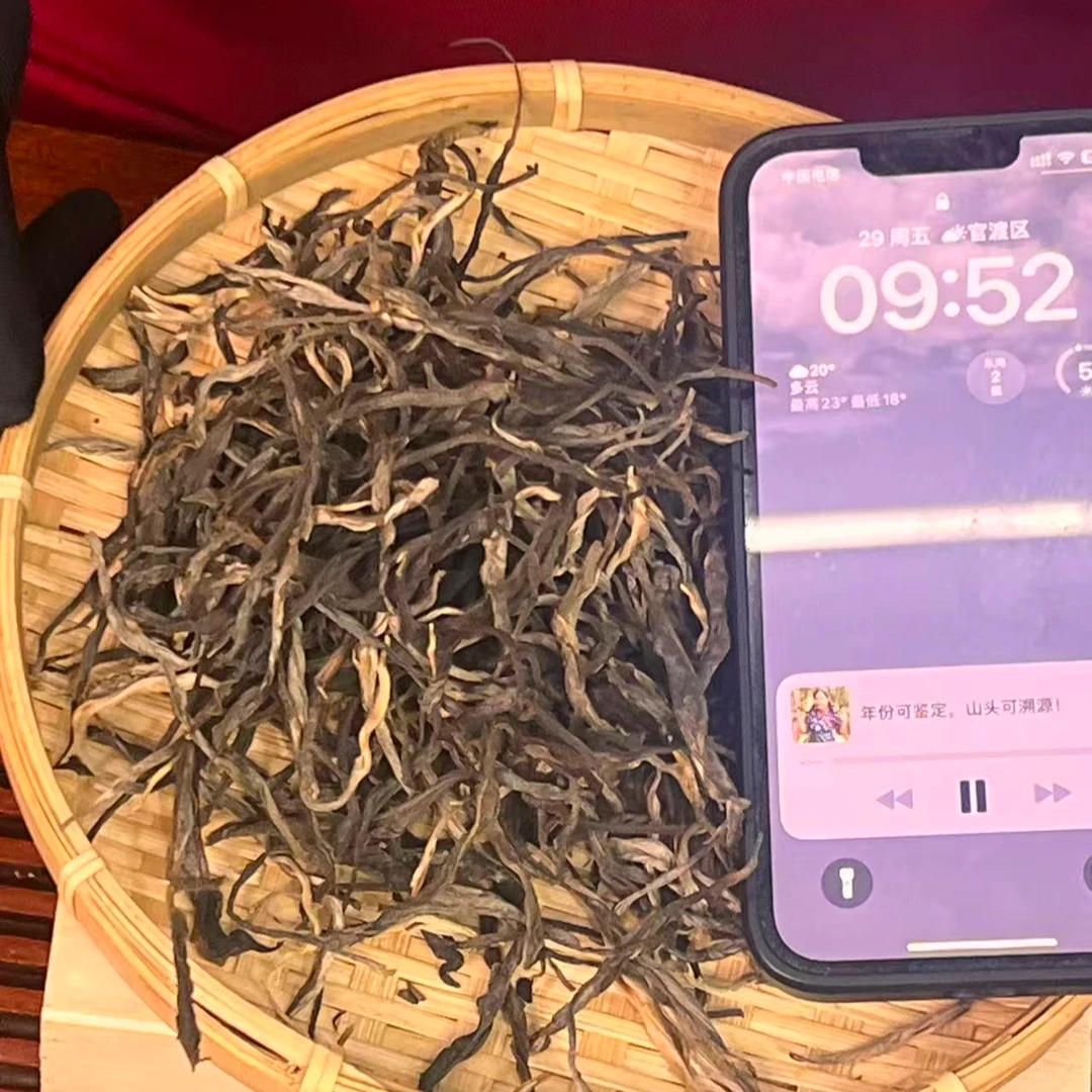 【私藏高货】头春头采 纯料 帕莎犀牛塘茶王 2025年 150g/盒